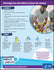 products/cdc_wash-your-hands-fact-sheet_esp-508.jpg