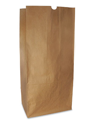 16 x 12 x 35 Unprinted Biodegradable Lawn and Leaf Kraft Paper Bags